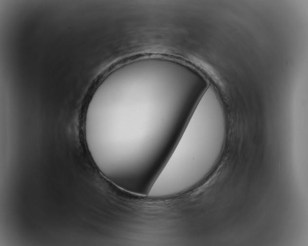 X0000088661264200705250955