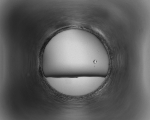 X0000088661267200705250955