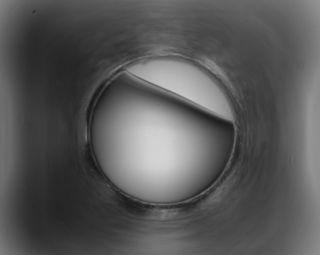 X0000088661269200705250954