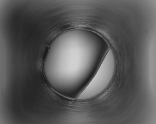 X0000088661273200705250954