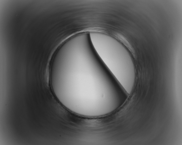 X0000088661276200705250954