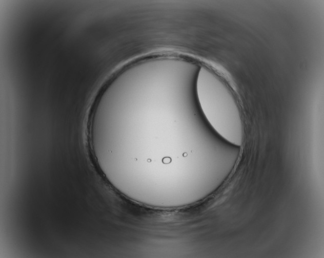 X0000088661279200705250954