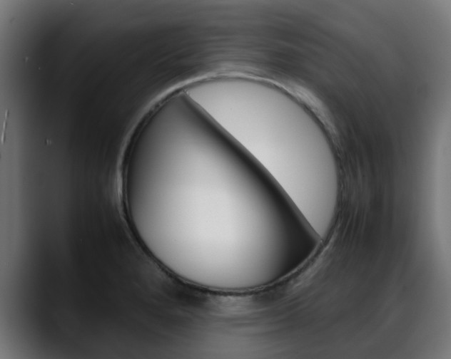 X0000088661280200705250954