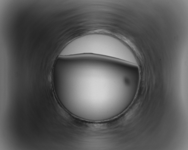 X0000088661281200705250954