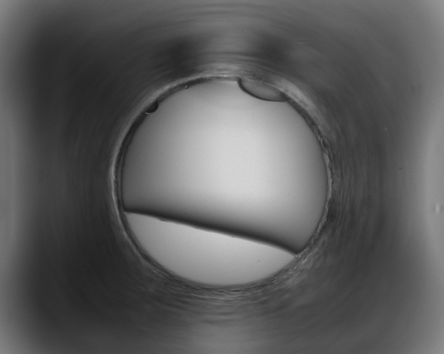 X0000088661283200705250954