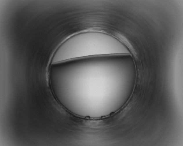 X0000088661284200705250954