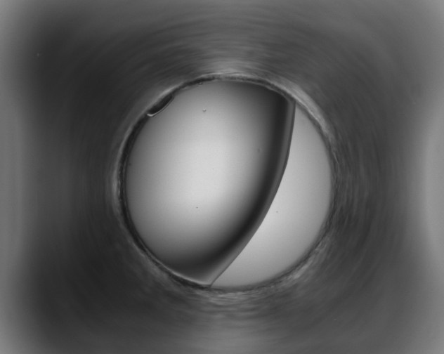 X0000088661285200705250954