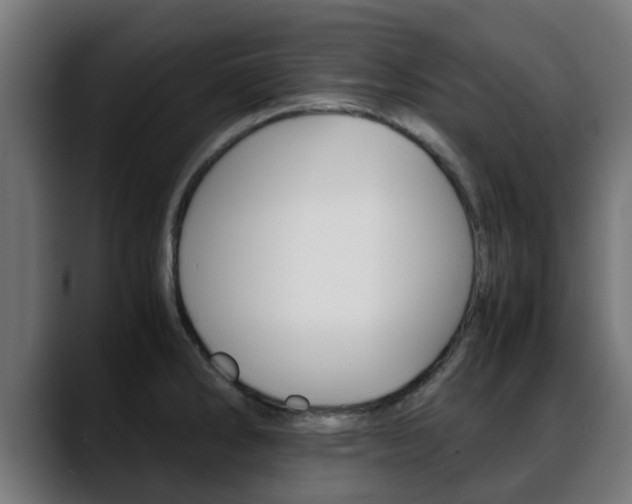 X0000088661286200705250954