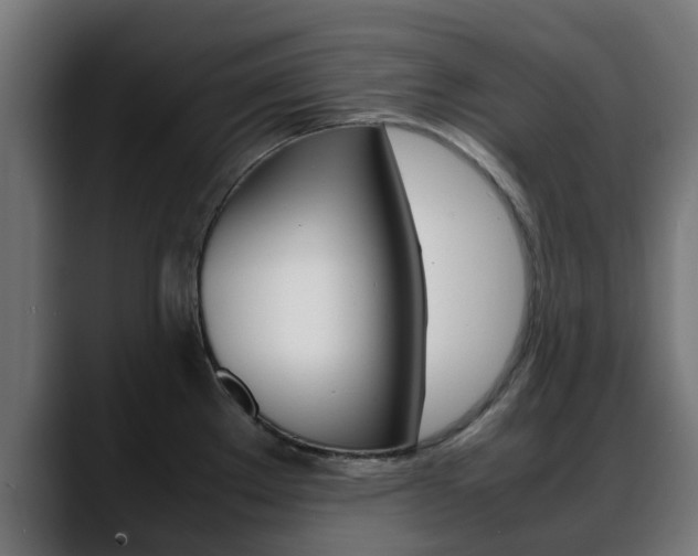 X0000088661289200705250954