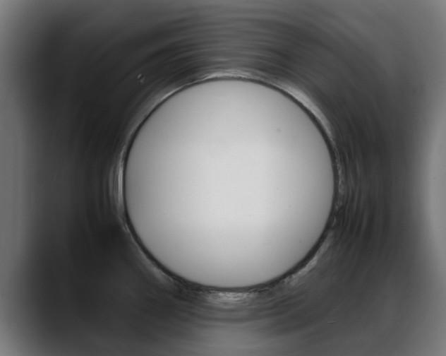 X0000088661290200705250954