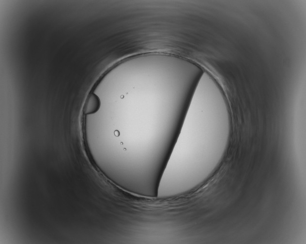 X0000088661291200705250954