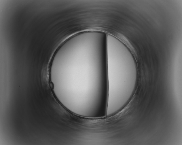 X0000088661292200705250954