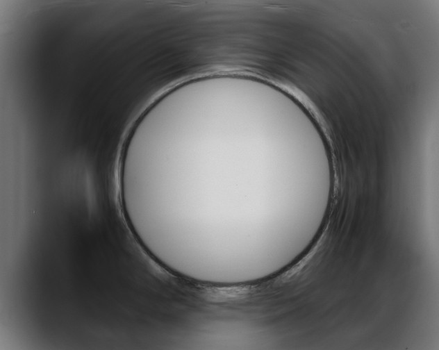 X0000088661294200705250954