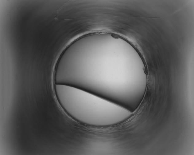 X0000088661295200705250954