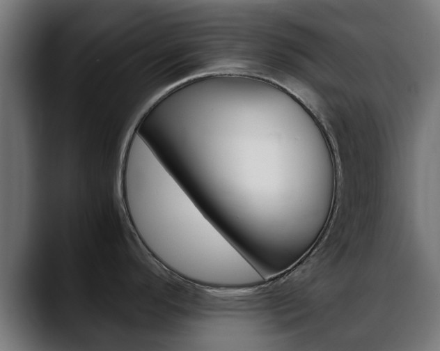 X0000088661296200705250954