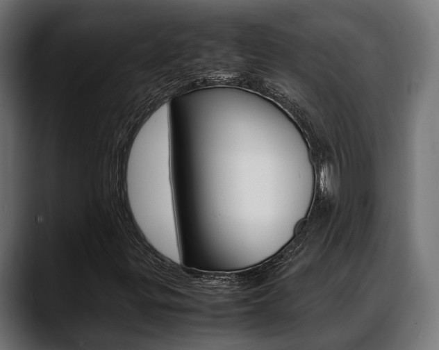 X0000088661299200705250954