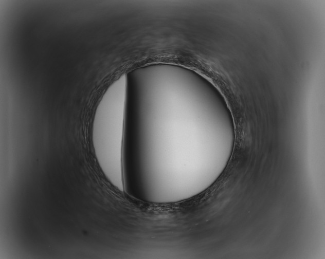 X0000088661301200705250954