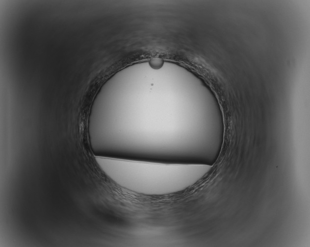 X0000088661302200705250954
