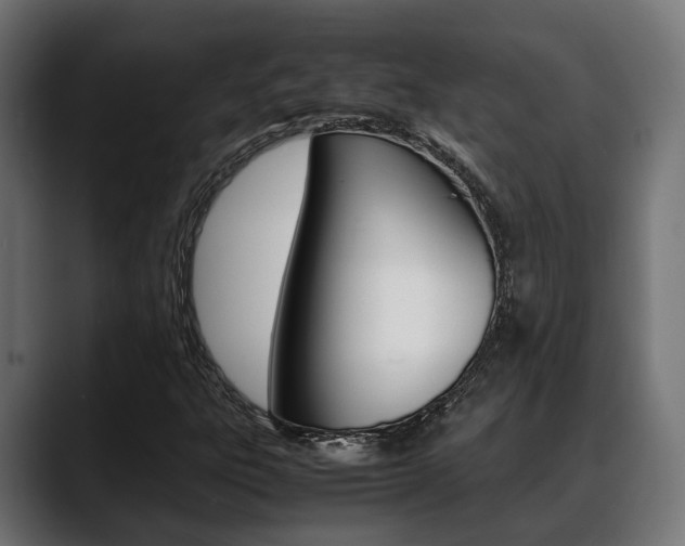 X0000088661303200705250954
