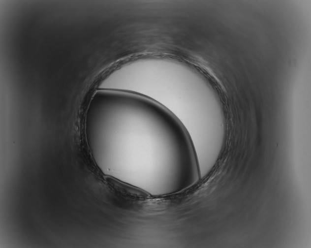 X0000088661304200705250954
