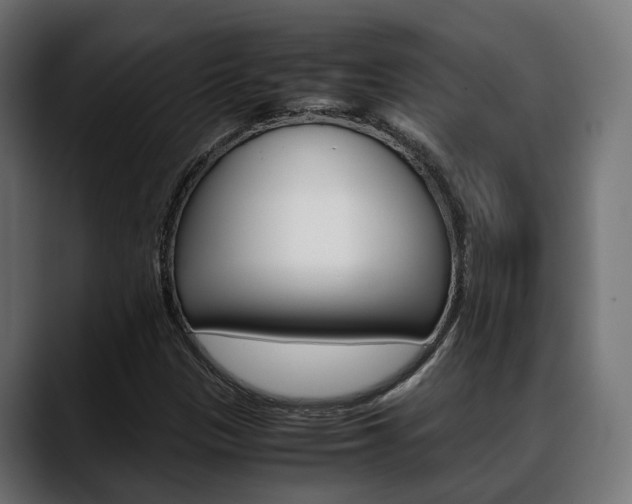 X0000088661305200705250954
