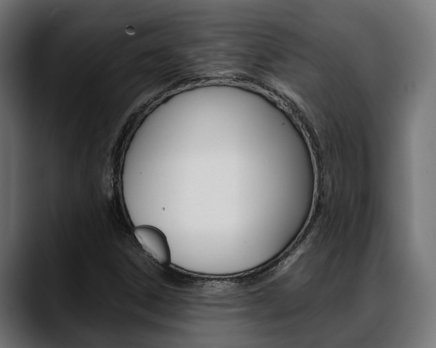 X0000088661306200705250954