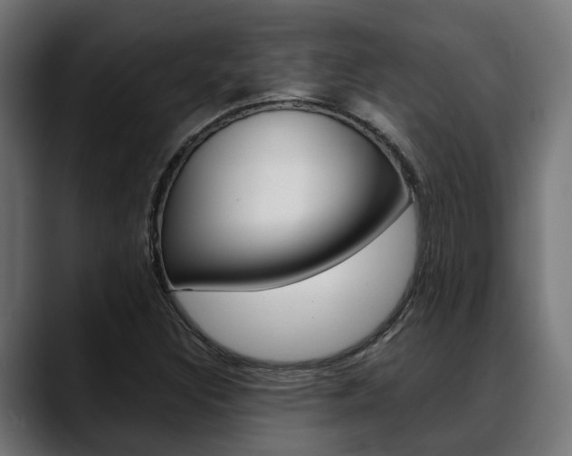 X0000088661308200705250954
