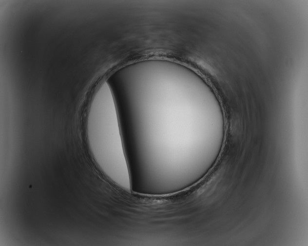 X0000088661309200705250954
