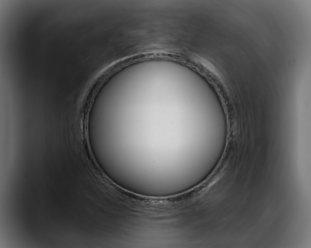 X0000088661310200705250954