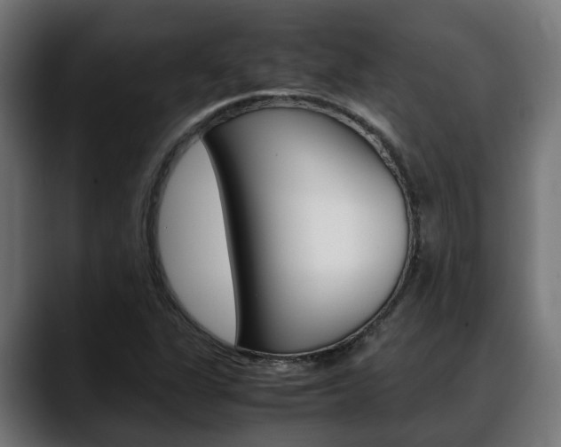 X0000088661311200705250954
