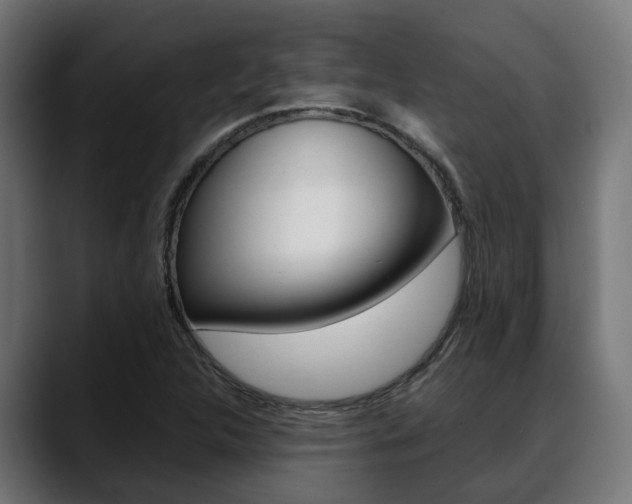 X0000088661312200705250954