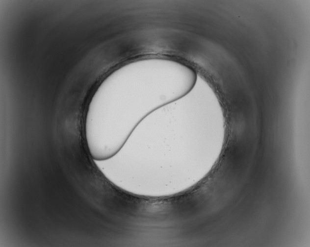 X0000088661314200705250954