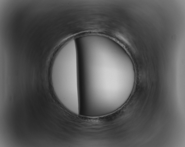 X0000088661315200705250954