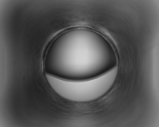X0000088661320200705250954