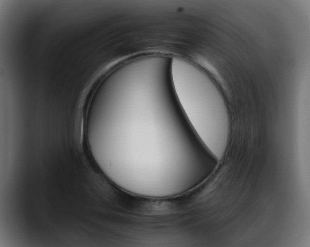 X0000088661323200705250954