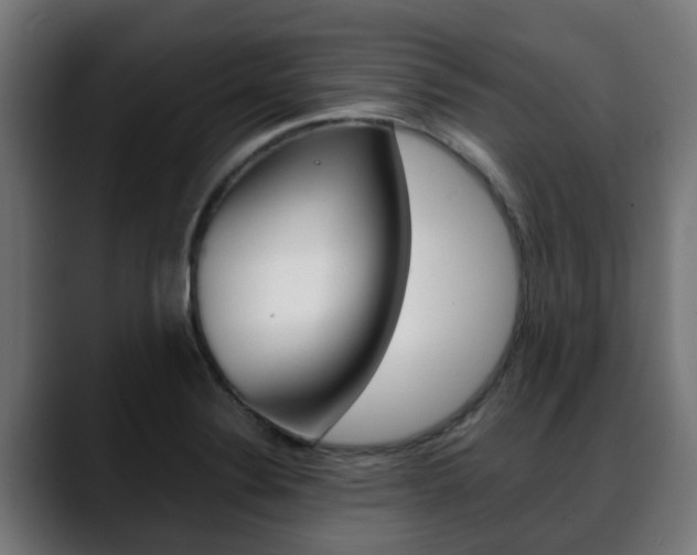 X0000088661324200705250954