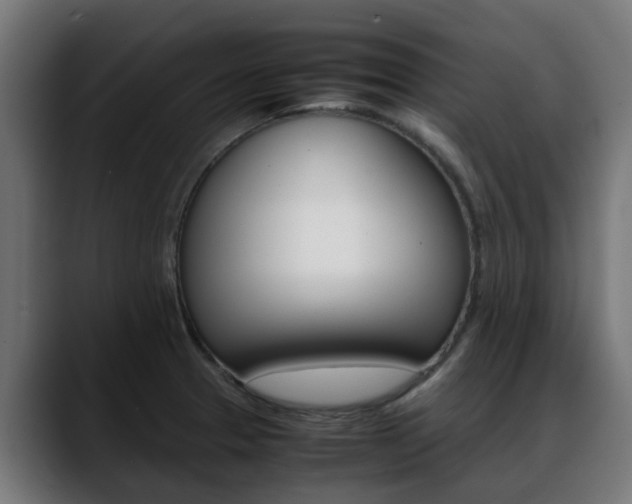 X0000088661329200705250954