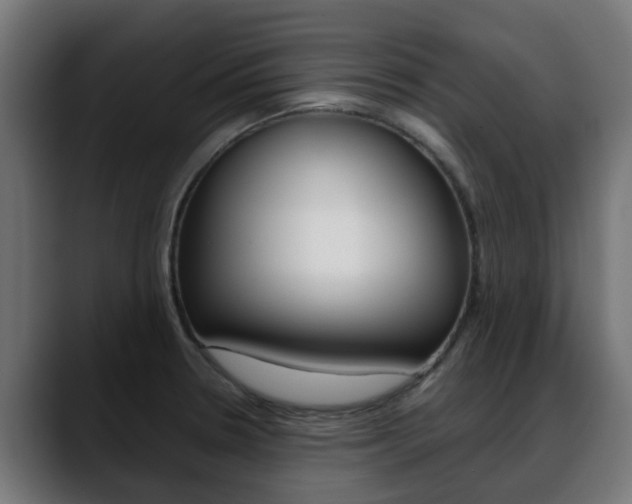 X0000088661330200705250954