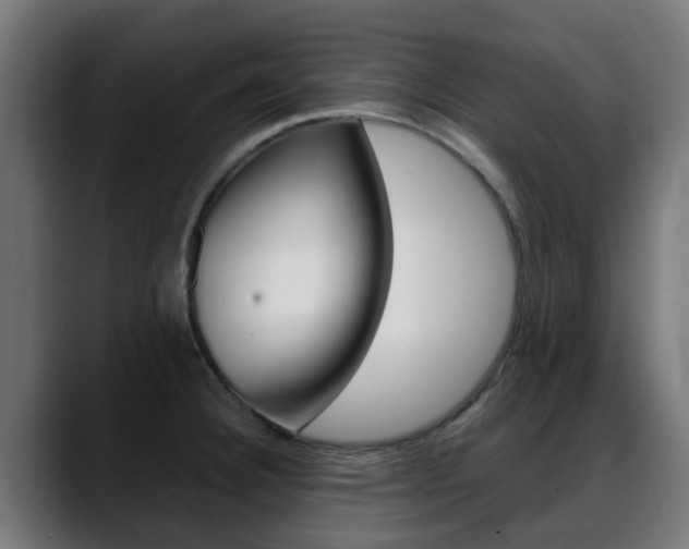 X0000088661332200705250954