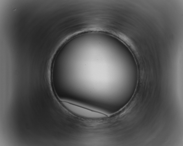 X0000088661334200705250954