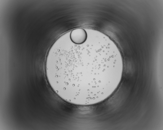 X0000088661338200705250954