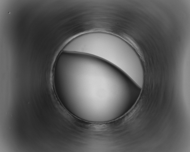 X0000088661340200705250954