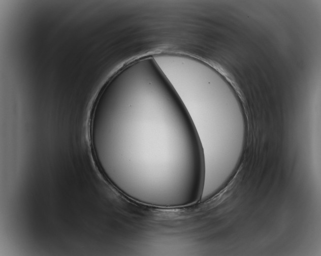 X0000088661342200705250954