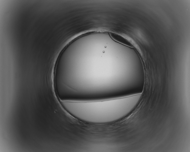X0000088661343200705250954