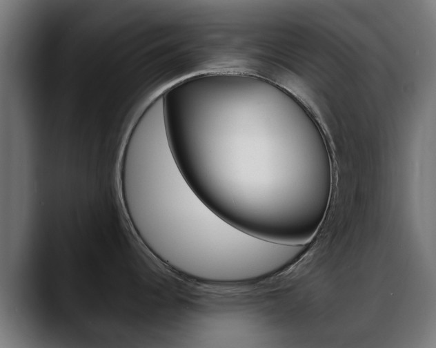 X0000088661344200705250954