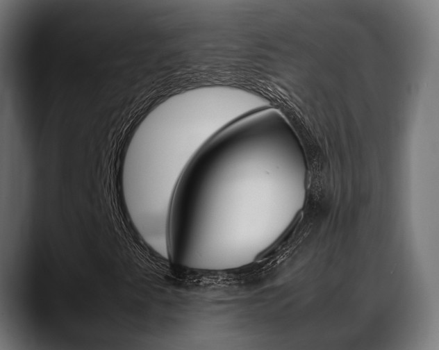 X0000088661345200705250953