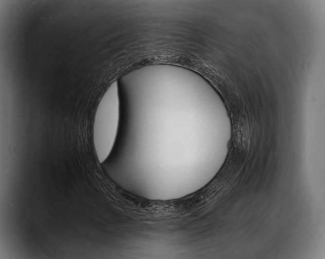 X0000088661346200705250953