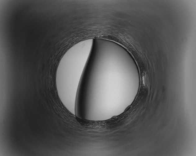 X0000088661347200705250953