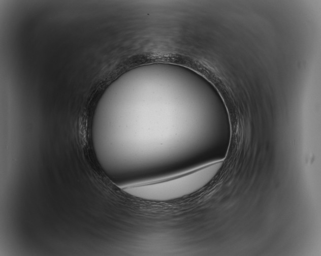 X0000088661348200705250953