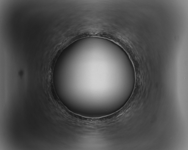 X0000088661349200705250953